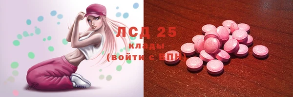 индика Балахна
