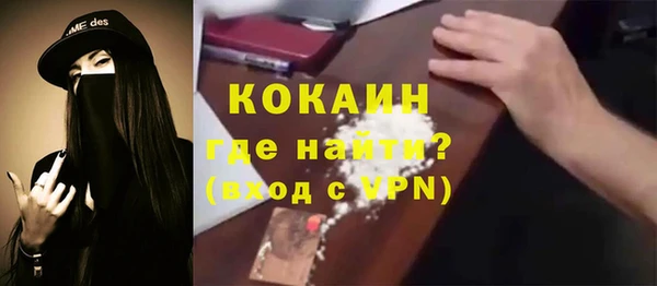 индика Балахна