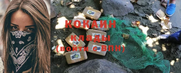 индика Балахна