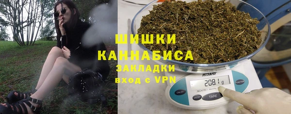 индика Балахна