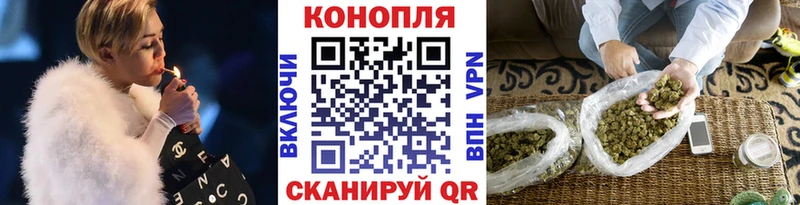 Конопля Ganja  Суджа 